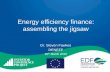 DENEFF keynote - Assembling the jigsaw of energy efficiency financing. Steven Fawkes.