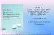 Ch11 life cycle and portfolio strategies