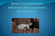Kim's stress managment presentation