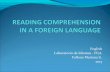 Reading comprehension in a foreign language