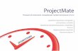 ProjectMate - решение для компаний, оказывающих профессиональные услуги