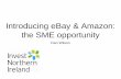 Introducing eBay & Amazon: the SME opportunity