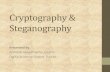 Cryptography & Steganography