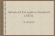 Advanced encryption standard (aes)