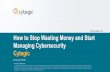 Cytegic how to stop wasting money and start managing cybersecurity final