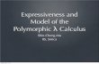 Expressiveness and Model of the Polymorphic λ Calculus