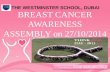 Breast cancer awareness assembly