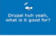 Drupal, what is it good for?