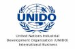 United Nations Industrial Development Organization (UNIDO) - International Business