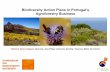 Biodiversity Action Plans in Portugal's Agroforestry Business