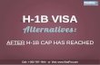 Alternatives To H-1B Visa: What Can You Do After H1B Cap Has Reached?