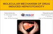 Molecular mechanism of drug induced hepatotoxicity