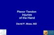 Flexor tendon injuries of the hand