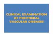 Clinical examination peripheral vascular disease