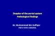 Doppler of the portal system pathologies