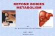 Ketone body metabolism