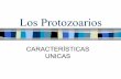 Caracteristicas unicas protozoarios (juan hidalgo)