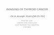 Thyroid cancer imaging
