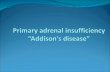 Addison's disease2