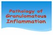 4. chronic inflammation  granulomatous inflammation -dr. sinhasan- mdzah