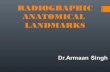 Radiographic anatomical  landmarks By Dr. Armaan Singh