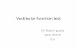 Vestibular function test (dr.rajeev gupta,igmc shimla)