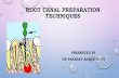 Root canal preparation techniques