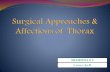 Surgical Approaches to   thorax in small animals