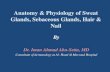 Anatomy & physiology of sweat glands, sebaceous