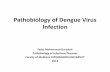Pathobiology of dengue virus infection