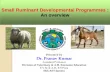 Small Ruminant Developmental programmes- An overview