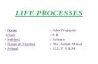Life processes.