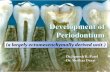 Development of periodontium
