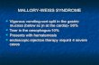 Mallory weiss syndrome