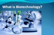 Make career in biotechnology