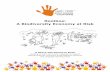 Rooibos - A Biodiversity Economy at Risk - Teacher Handbook for School Gardening