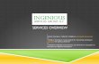 Ingenious Services Group, Llc   2012 Service Offerings Detail