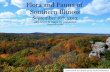 Flora & Fauna of Southern Illinois