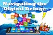 Navigating the Digital Deluge