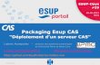 Esupdays 19 : Packaging Esup Cas