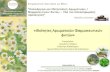 Ιδιότητες Αρωματικών Φαρμακευτικών φυτών» Διαμάντω Λάζαρη - Nαύπλιο 13-12-2014