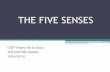The five senses presentation