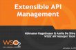 Extensible Api Management with WSO2 API Manager