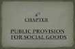 Public provision of social goods