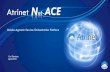Net-Ace - Vendor-Agnostic Service Orchestration platform