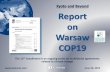 Report on Warsaw COP19