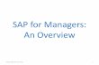SAP Overview for Managers