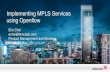 Implementing MPLS Services using Openflow