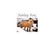 Farley fox