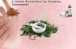 5 Home Remedies for Scabies Treatment